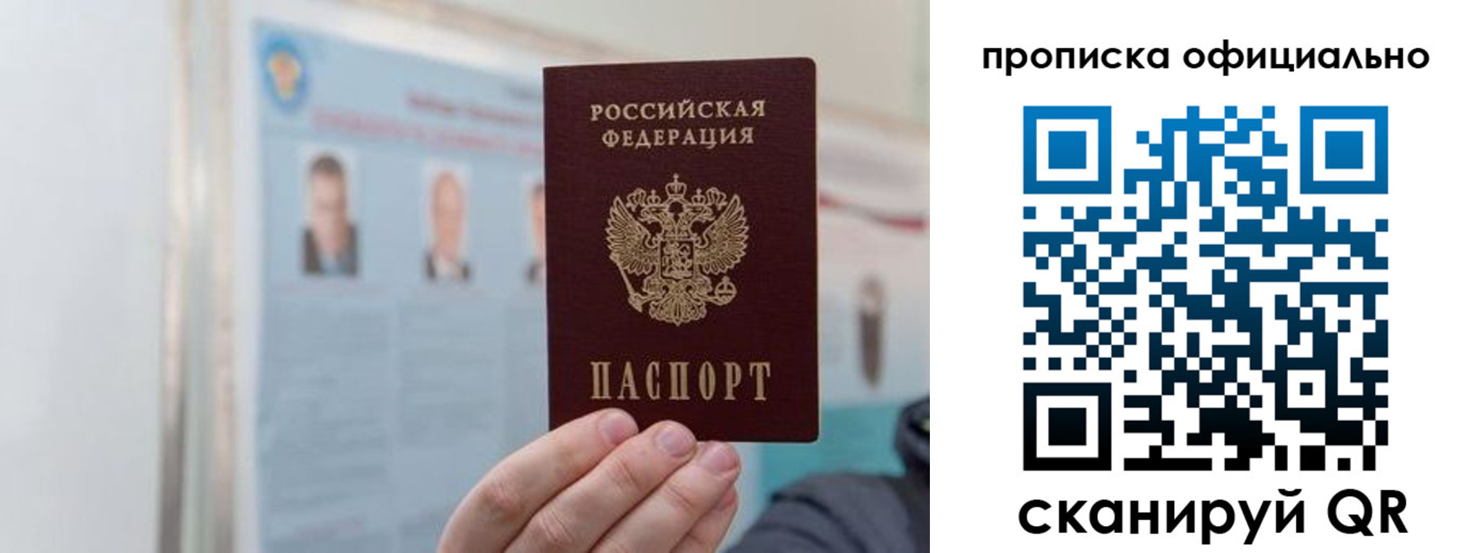 прописка гарантия в Лосино-Петровском